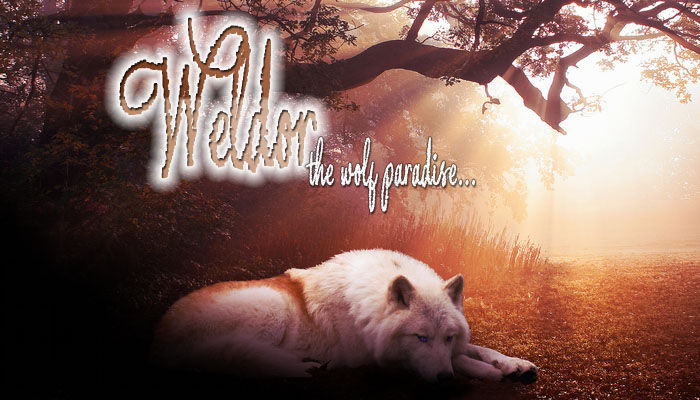 ✰Wolfes Paradise..*Spring